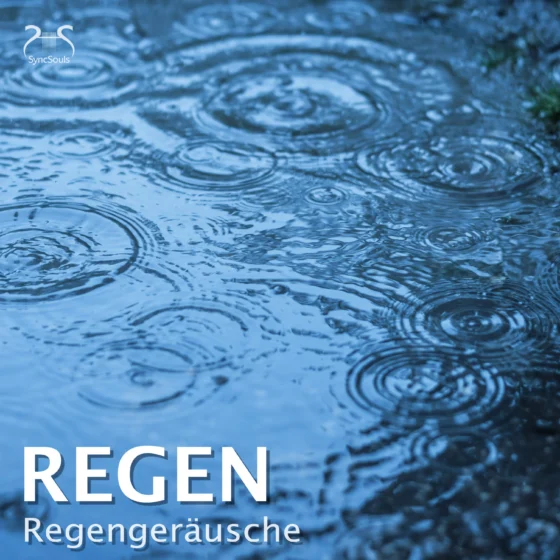 Cover: Regen - Regengeräusche