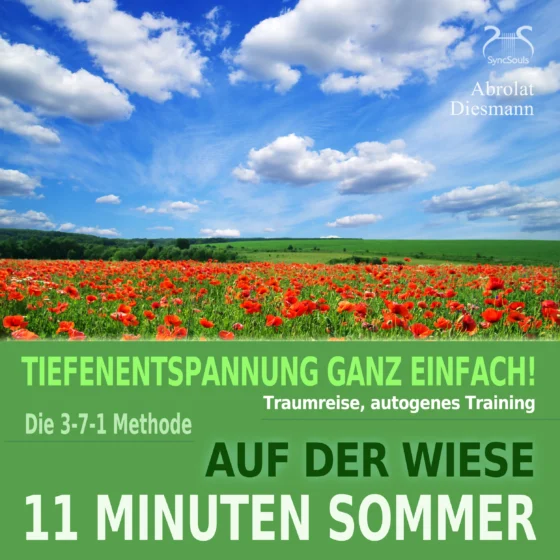 Cover: 11 Minuten Sommer - Tiefenentspannung ganz einfach!