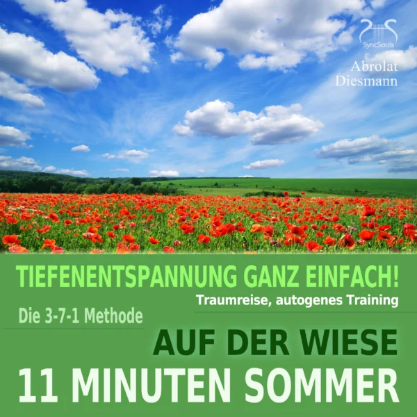 Cover: 11 Minuten Sommer - Tiefenentspannung ganz einfach!