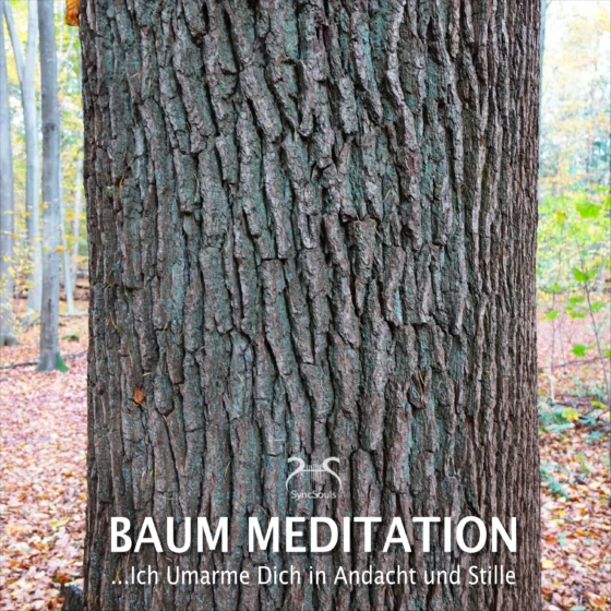 Cover: Baum Meditation