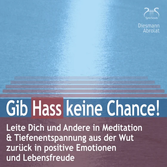 Cover: Gib Hass keine Chance