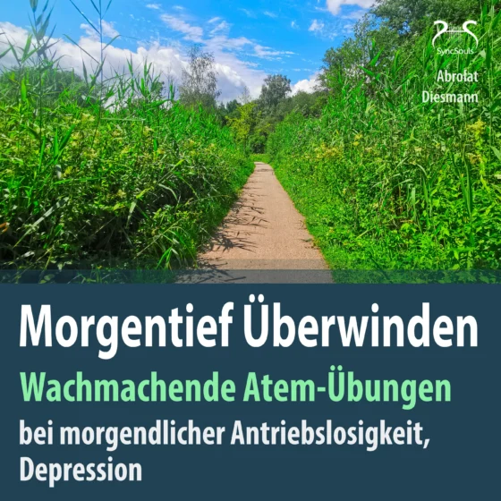 Cover: Morgentief Überwinden