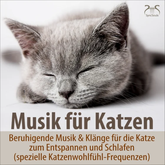 Cover: Musik für Katzen - Beruhigende Musik & Klänge für die Katze