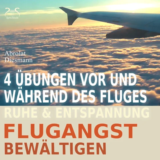 Cover: Flugangst bewältigen