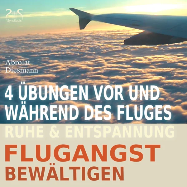 Cover: Flugangst bewältigen