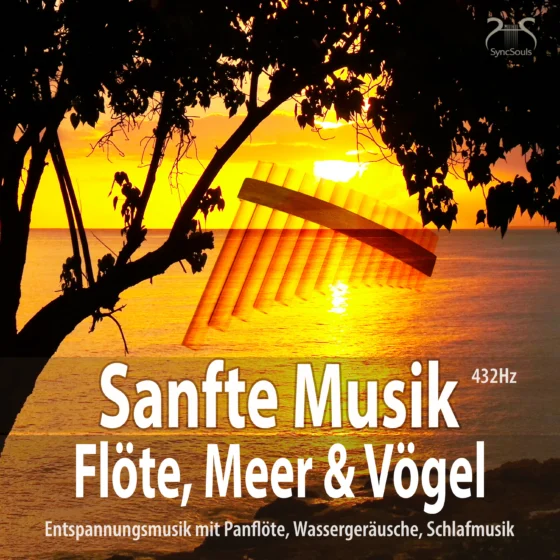 Cover: Sanfte Musik Flöte, Meer und Vögel