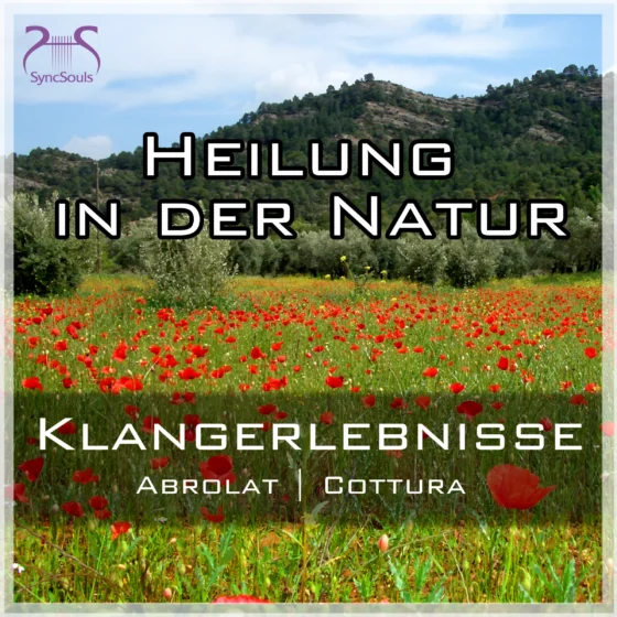 Cover: Heilung in der Natur - Klangerlebnisse