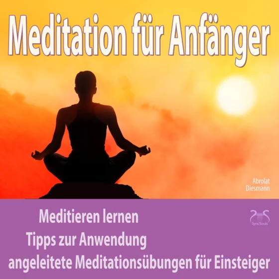 Meditation für Anfänger – Cover: meditierende Silhouette vor Sonnenuntergang