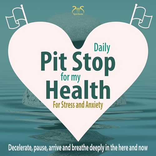 Cover: Daily Pit Stop for my Health! - For Stress and Anxiety