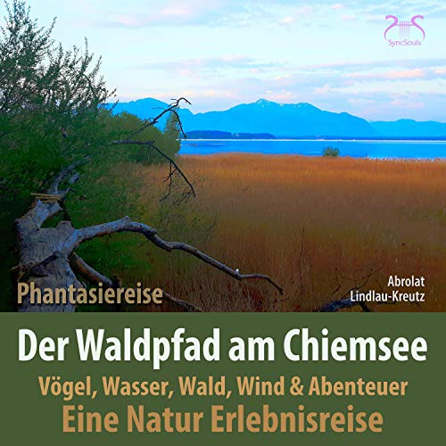 Cover: Der Waldpfad am Chiemsee