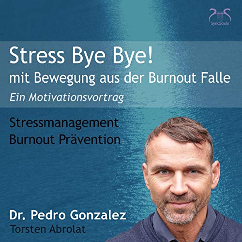 Stress Bye Bye! Mit Bewegung aus der Burnout Falle. Ein Motivationsvortrag – Hörbuch Cover
