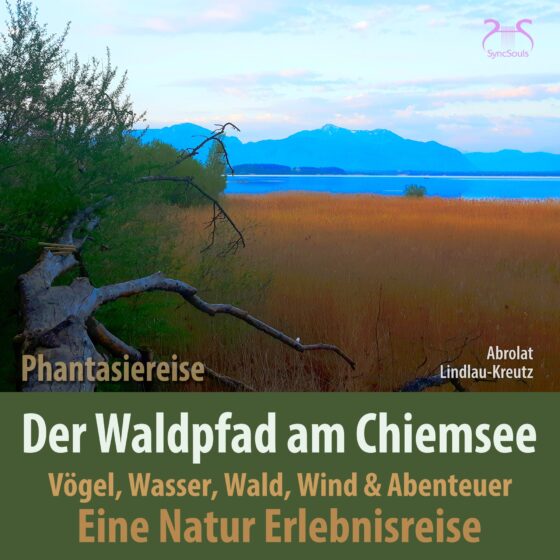 Der Waldpfad am Chiemsee (Cover)