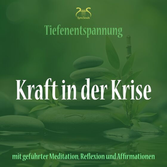 Kraft in der Krise (Cover)