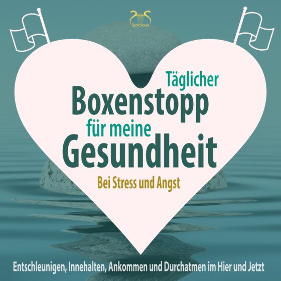 Täglicher Boxenstopp für meine Gesundheit (Cover)